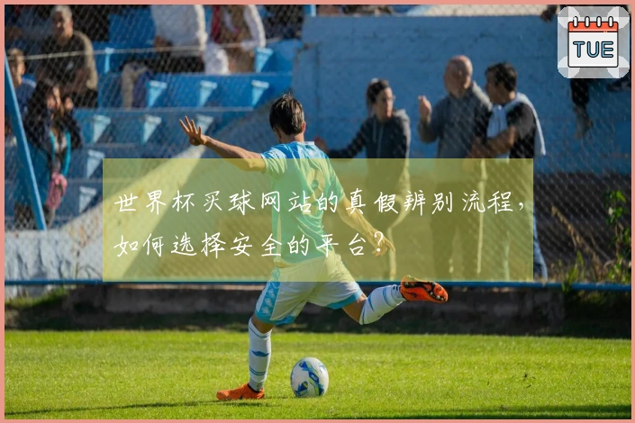世界杯买球网站的真假辨别流程，如何选择安全的平台？
