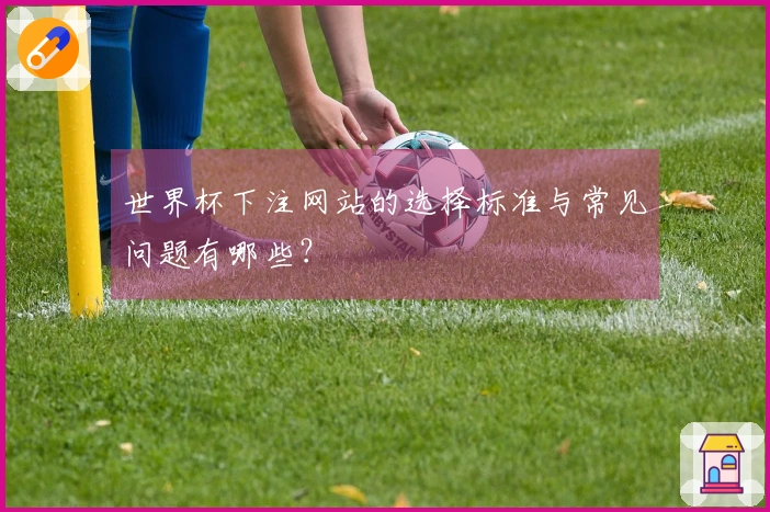 世界杯下注网站的选择标准与常见问题有哪些？