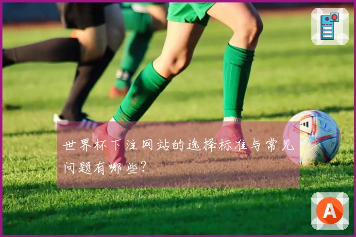 世界杯下注网站的选择标准与常见问题有哪些？