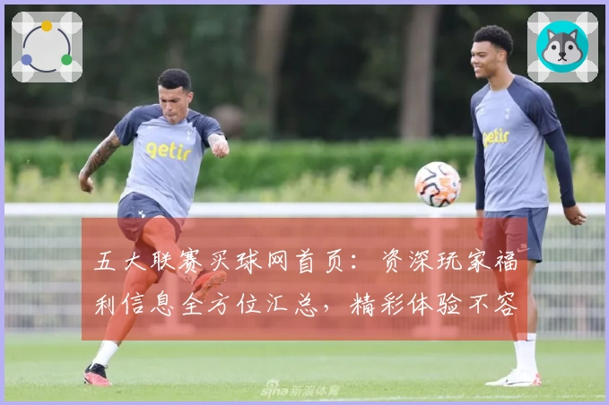 五大联赛买球网首页：资深玩家福利信息全方位汇总，精彩体验不容错过