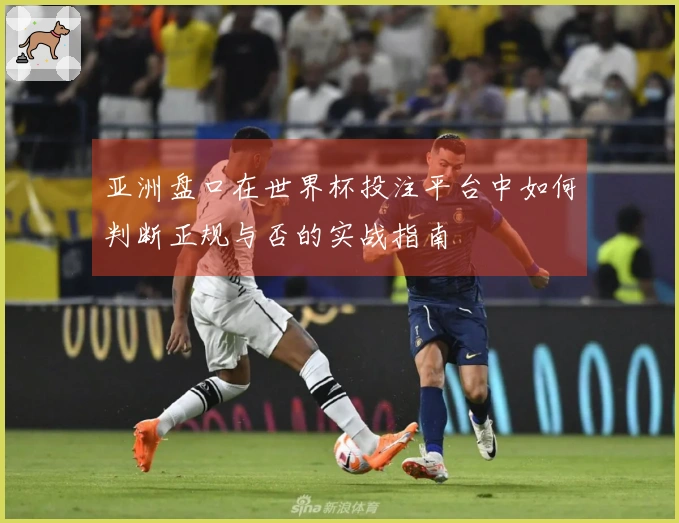 亚洲盘口在世界杯投注平台中如何判断正规与否的实战指南
