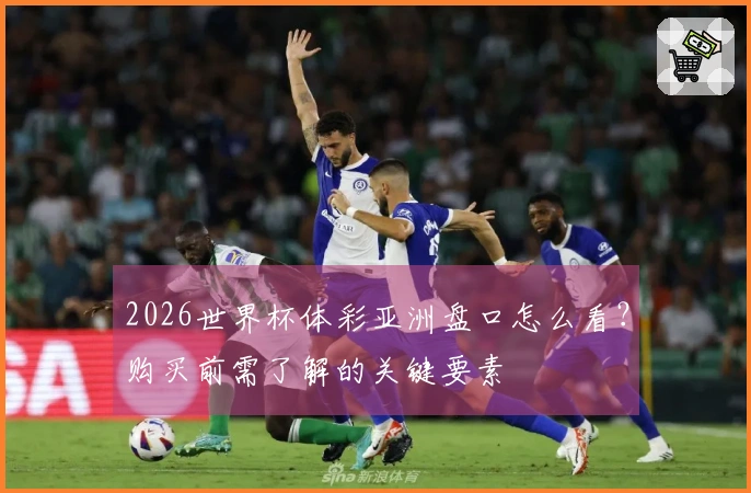 2026世界杯体彩亚洲盘口怎么看？购买前需了解的关键要素