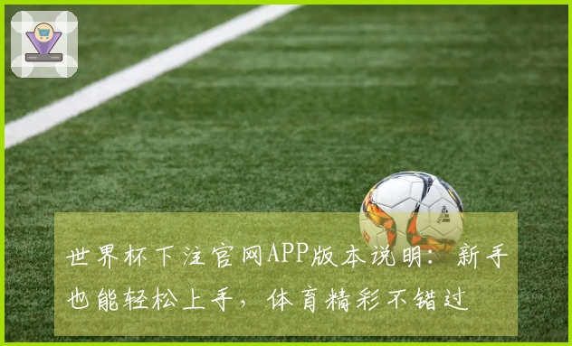 世界杯下注官网APP版本说明：新手也能轻松上手，体育精彩不错过