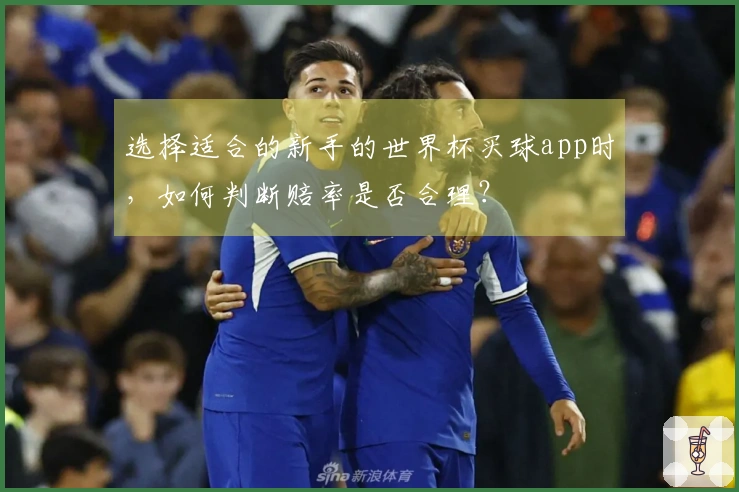选择适合的新手的世界杯买球app时，如何判断赔率是否合理？