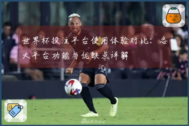 世界杯投注平台使用体验对比：各大平台功能与优缺点详解