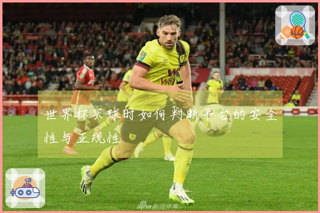 世界杯买球时如何判断平台的安全性与正规性