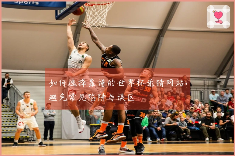 如何选择靠谱的世界杯竞猜网站，避免常见陷阱与误区