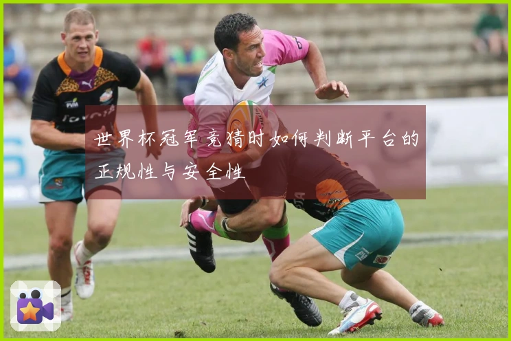 世界杯冠军竞猜时如何判断平台的正规性与安全性