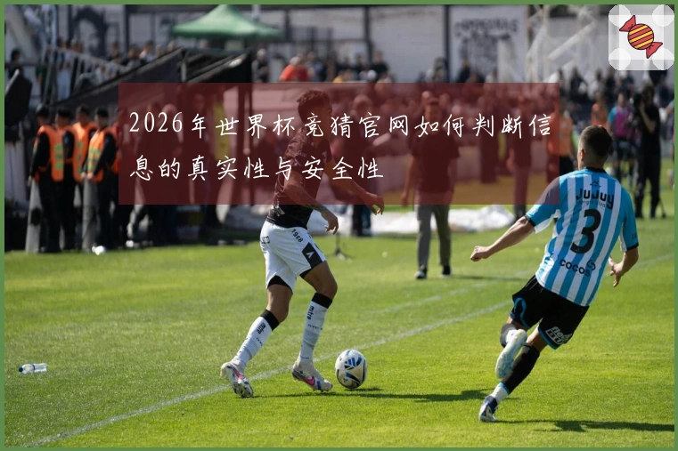 2026年世界杯竞猜官网如何判断信息的真实性与安全性