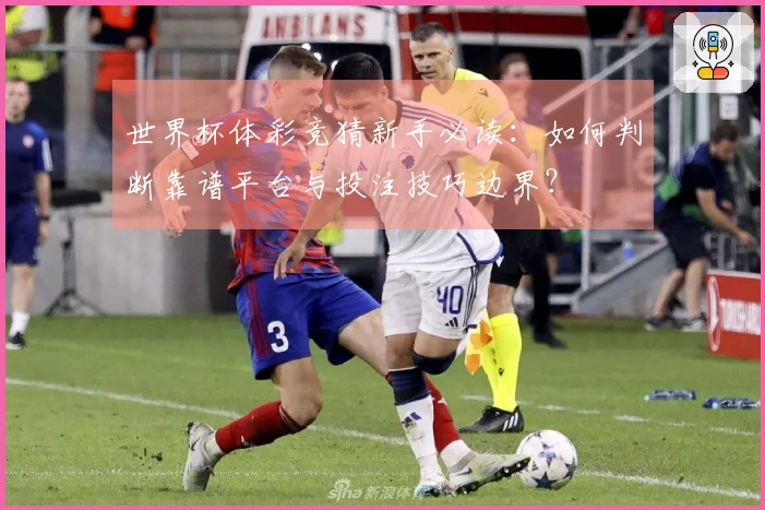 世界杯体彩竞猜新手必读：如何判断靠谱平台与投注技巧边界？