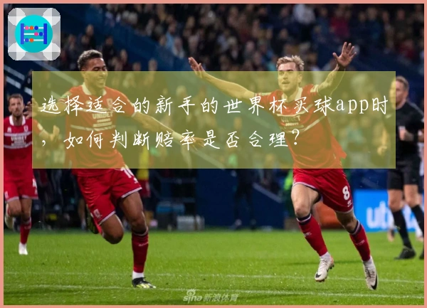 选择适合的新手的世界杯买球app时,如何判断赔率是否合理?