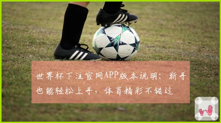 世界杯下注官网APP版本说明：新手也能轻松上手，体育精彩不错过