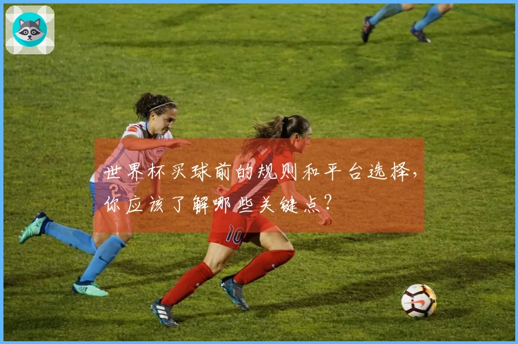 世界杯买球前的规则和平台选择，你应该了解哪些关键点？
