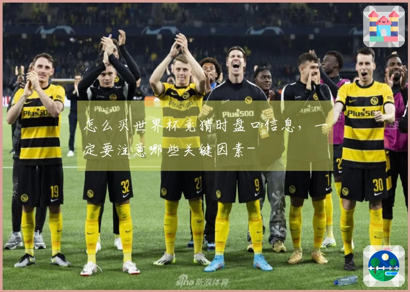 怎么买世界杯竞猜时盘口信息，一定要注意哪些关键因素-