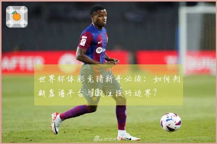 世界杯体彩竞猜新手必读：如何判断靠谱平台与投注技巧边界？