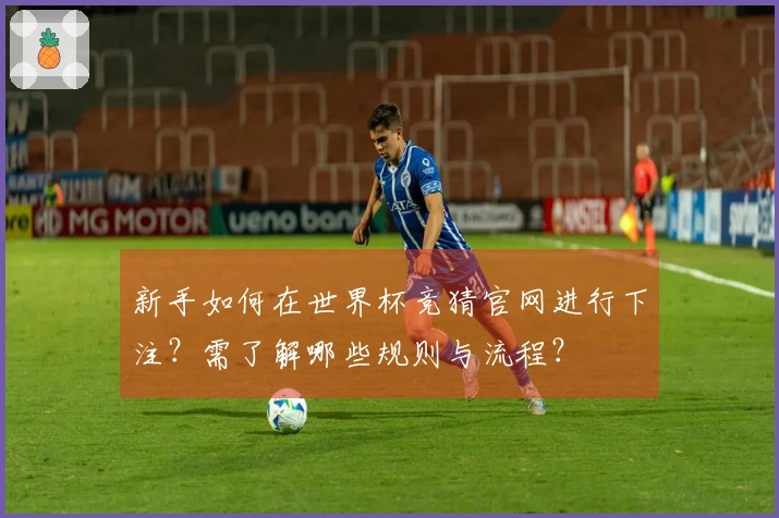 新手如何在世界杯竞猜官网进行下注？需了解哪些规则与流程？