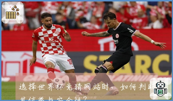 选择世界杯竞猜网站时，如何判断其信誉与安全性？