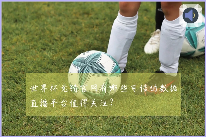 世界杯竞猜官网有哪些可信的数据直播平台值得关注？