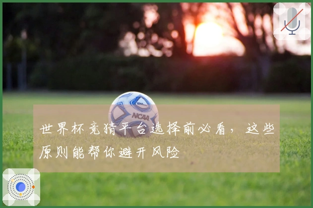 世界杯竞猜平台选择前必看，这些原则能帮你避开风险