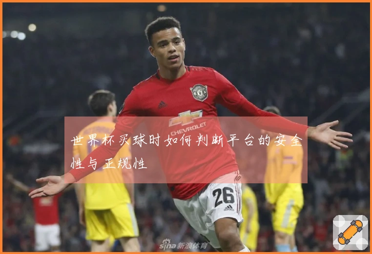 世界杯买球时如何判断平台的安全性与正规性
